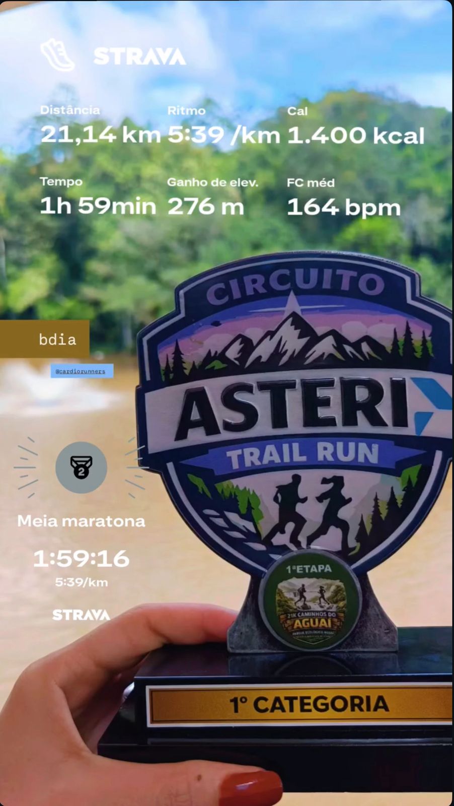 Resultado CardioRunners